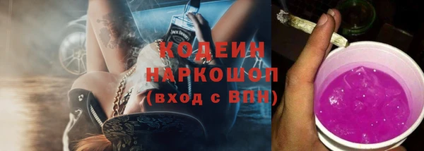 молекула духа Карпинск