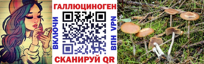Псилоцибиновые грибы мицелий  Купить закладки  Омск 